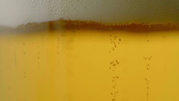 디테일 매크로 슬로우 비디오에서 유리에 거품과 차가운 라이트 맥주를 — 비디오