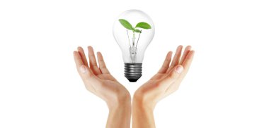 bir ampul kaldırmalı ve bitki