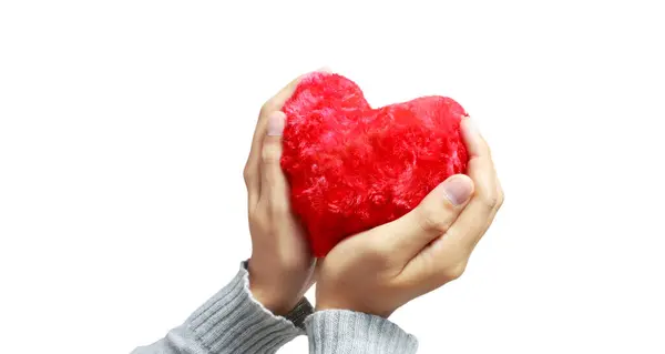 Eller Kırmızı Kalbi Tutuyor Kalp Sağlığı Bağışı Kavramları Stok Fotoğraf