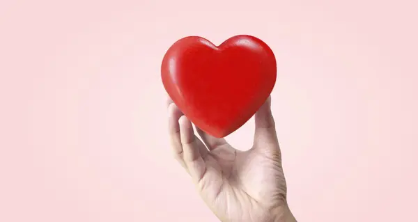 Eller Kırmızı Kalbi Tutuyor Kalp Sağlığı Bağışı Kavramları — Stok fotoğraf