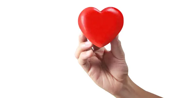 Руки Держат Красное Сердце Концепции Донорства Здоровья Сердца Лицензионные Стоковые Изображения