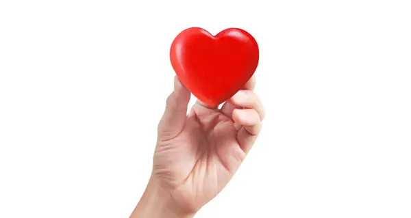 Руки Тримають Червоне Серце Концепції Донорства Здоров Серця Стокове Фото