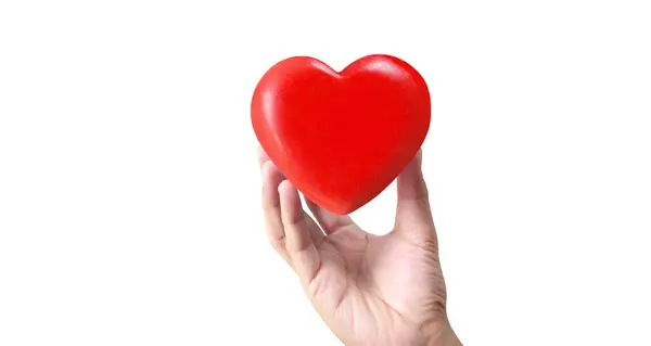 Ruce Držící Červené Srdce Koncepce Darování Zdraví Srdce Royalty Free Stock Fotografie