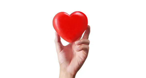 Les Mains Tenant Cœur Rouge Concepts Don Pour Santé Cardiaque Images De Stock Libres De Droits