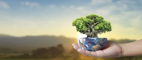 Глобус Земля Человеческих Руках Держащая Нашу Планету Сияющей Изображение Земли Стоковая Картинка