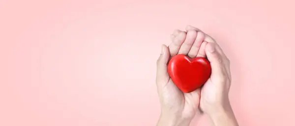 Руки Тримають Червоне Серце Концепції Донорства Здоров Серця Стокова Картинка
