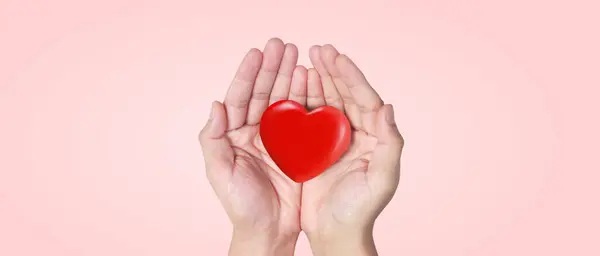 手牵着红心 心脏健康捐赠概念 图库图片