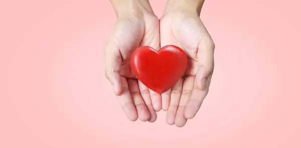 Händerna Med Rött Hjärta Koncept För Hjärtdonation Royaltyfria Stockfoton