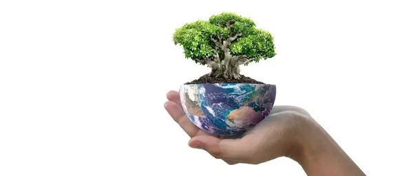 Globe Jord Mänsklig Hand Håller Vår Planet Glödande Jordbild Från Stockfoto