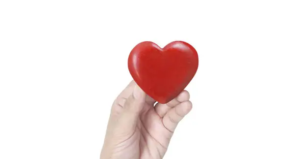Руки Держат Красное Сердце Концепции Донорства Здоровья Сердца Лицензионные Стоковые Фото