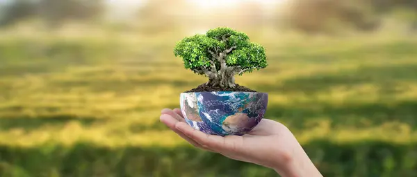 Globe Earth Human Hand Holding Our Planet Glowing Earth Image Royalty Free Stock Photos