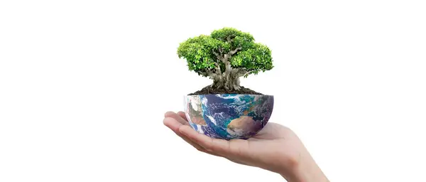 Глобус Земля Человеческих Руках Держащая Нашу Планету Сияющей Изображение Земли Лицензионные Стоковые Фото