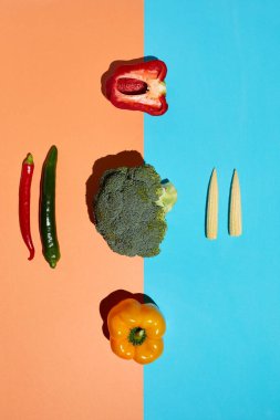 Karşıt mavi ve pembe arka plan, sağlıklı beslenme ve vejetaryen konsepti, kopyalama alanı üzerine çeşitli sebze bileşimlerinin en düşük görünümü