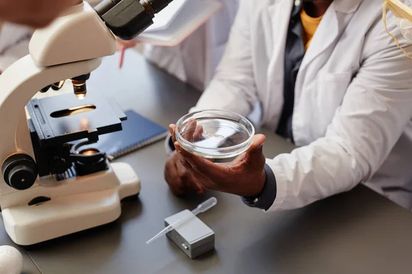 Nahaufnahme Eines Nicht Erkennbaren Wissenschaftlers Mit Petrischale Unter Dem Mikroskop — Stockfoto