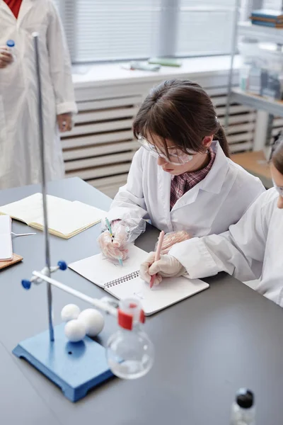 Retrato Vertical Niños Tomando Notas Mientras Hacen Experimentos Científicos Laboratorio — Foto de Stock