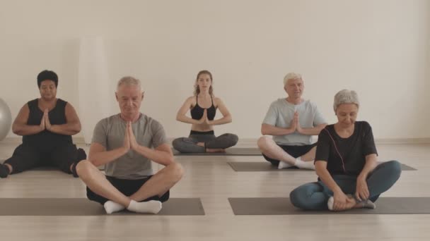 荷花中坐在瑜伽垫上的四个多种族活跃老年人和年轻女性瑜伽教练的冲刺镜头 摆出沉思的姿势 双手祈祷 — 图库视频影像