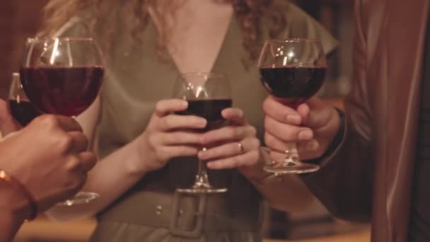 Partide Kadehlerini Kırmızı Şarapla Kaldıran Çok Irklı Erkek Kadın Arkadaşların — Stok video