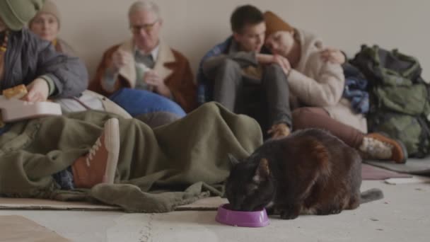 難民の男性と女性が一緒に住んでいる亡命中のボウルから食べ物を食べるホームレスの黒猫のスローモは お互いをサポートし 助けを提供しています — ストック動画