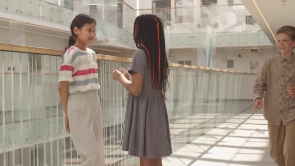 Modern Okul Koridorunda Arkadaşlarıyla Konuşurken Afrikalı Amerikalı Sınıf Arkadaşlarının Örgülerini — Stok video