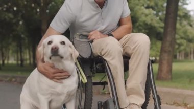 50 'li yaşlarda gülümseyen beyaz bir adam. Tekerlekli sandalyede oturmuş, sarılıyor ve sarı Labrador av köpeğini okşuyor. Yaz günü parkta birlikte yürürken.