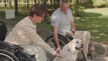 Mutlu beyaz tekerlekli sandalye çifti yeşil parkta, açık sarı labrador av köpeğiyle oynuyor.