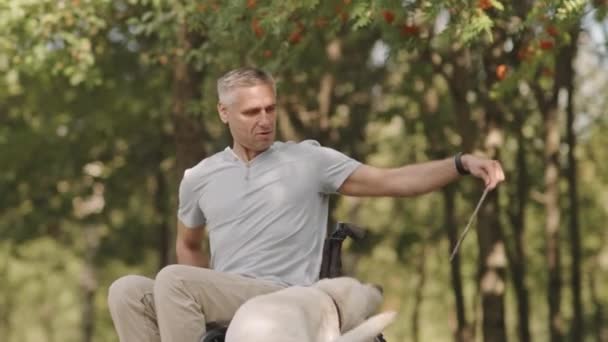 Zachwycony Biały Mężczyzna Pięćdziesiątce Siedzi Wózku Inwalidzkim Trzymając Gałązkę Bawiąc — Wideo stockowe