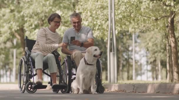 Szczęśliwa Para Wózku Inwalidzkim Patrząc Zdjęcia Smartfonie Podczas Spędzania Czasu — Wideo stockowe