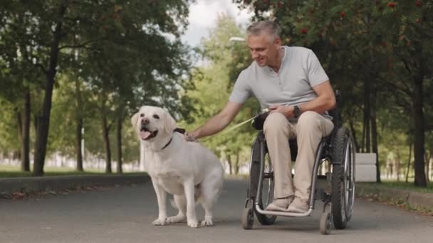 Portrét Dospělého Bělocha Neformálním Oblečení Sedícího Invalidním Vozíku Hladícího Svého — Stock video