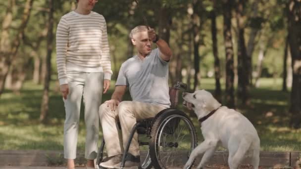 Szczęśliwy Biały Mężczyzna Wózku Inwalidzkim Żoną Ich Zabawny Jasnożółty Labrador — Wideo stockowe
