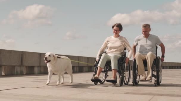 Szczęśliwa Kaukaska Para Wózku Inwalidzkim Jasnożółtym Labradorem Schodząca Pustą Drogą — Wideo stockowe