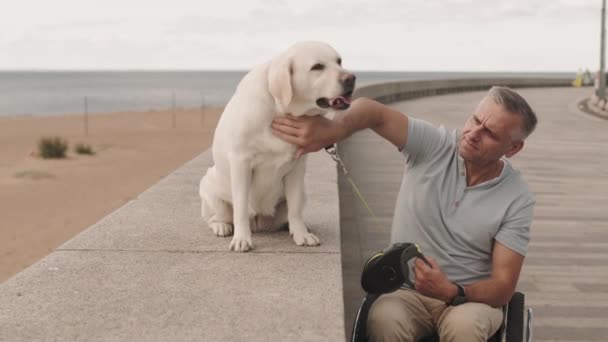 Dojrzały Biały Mężczyzna Wózku Inwalidzkim Pieszczoty Jego Jasnożółty Labrador Retriever — Wideo stockowe