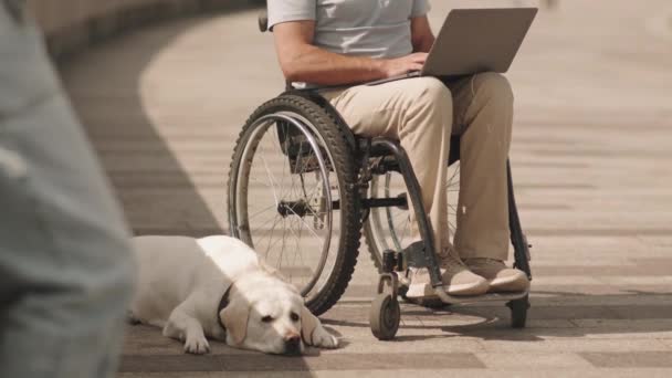 Tilt Adult Caucasian Man Wheelchair Wearing Headphones While Working Laptop — Stock Video