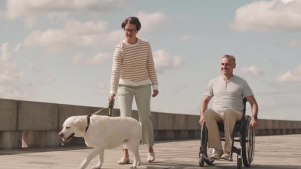 Dospělý Běloch Koni Invalidní Vozík Jeho Pečující Manželka Kráčí Blízkosti — Stock video