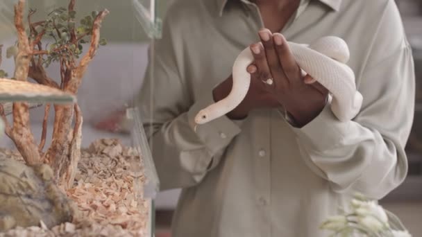 애완용 아프리카 미국인젊은 파스텔 올리브그린 과많은 화초들이 초소형 거실에 놀라지 — 비디오