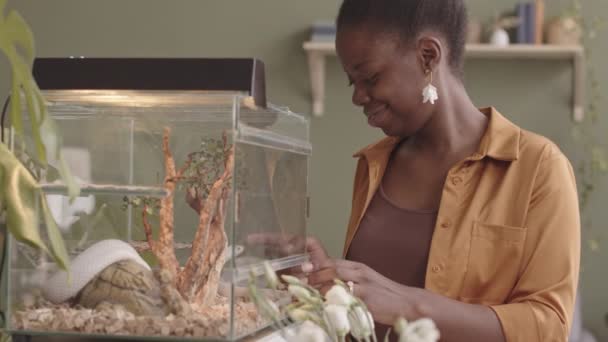 Lento Medio Sonriente Joven Mujer Negra Cuidando Serpiente Rata Blanca — Vídeos de Stock