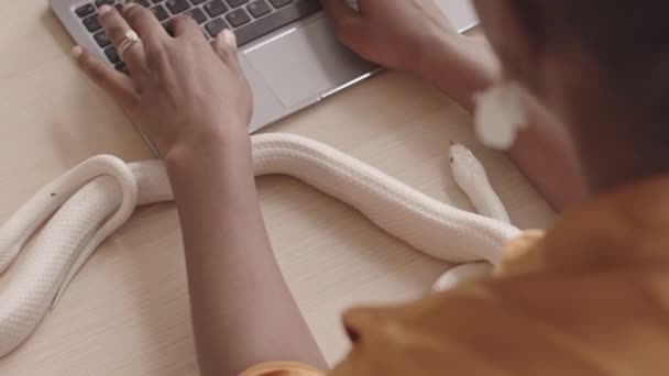 Beyaz Yılanı Masanın Üstünde Sürünürken Siyah Bir Kadının Dizüstü Bilgisayarda — Stok video