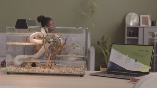 Slowmo Young Black Woman Watering Flowers Living Room White Rat — Stock Video