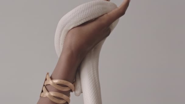 Slowmo Closeup Unrecognizable Female Black Hand Wearing Gold Bracelet Holding — Stok Video