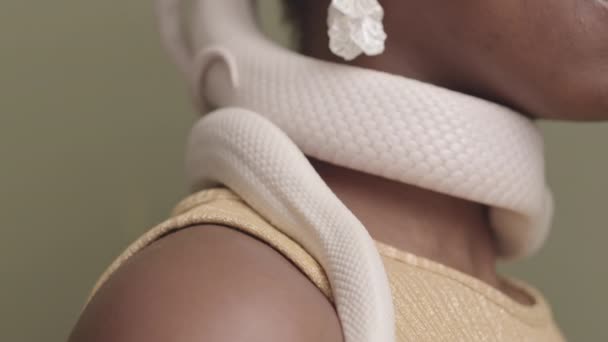 Slowmo Closeup Του Λευκού Αρουραίου Φίδι Τυλιγμένο Γύρω Από Λαιμό — Αρχείο Βίντεο