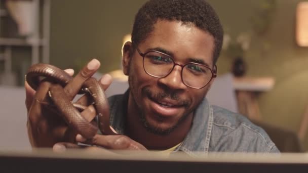 一个快乐的年轻黑人嬉皮士男人 带着棕色的宠物蛇视频 晚上在家里通过笔记本电脑聊天 — 图库视频影像
