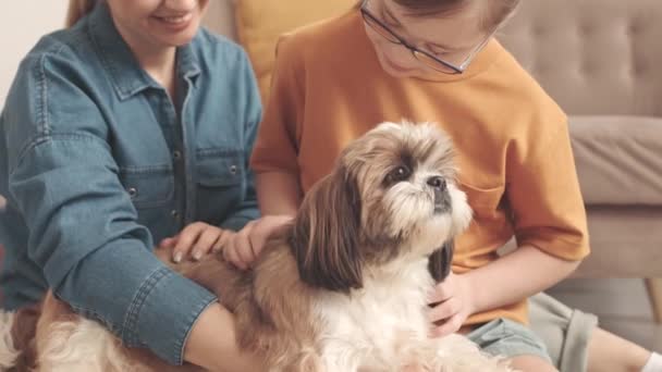 小白种女孩抑郁综合征和她的母亲在家里的闲暇时间爱抚狗肉 — 图库视频影像
