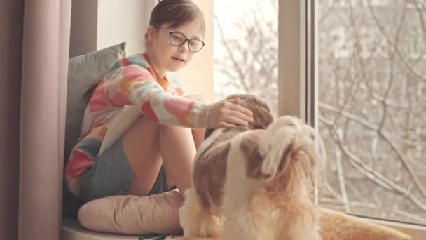 Vit Flicka Med Ner Syndrom Petting Härlig Shih Tzu Hund — Stockvideo