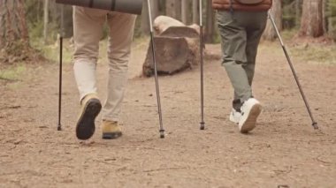 Tanınmayan bir çiftin düşük seviye yavaşlığı. Gündüz vakti ormanda yürüyorlar.