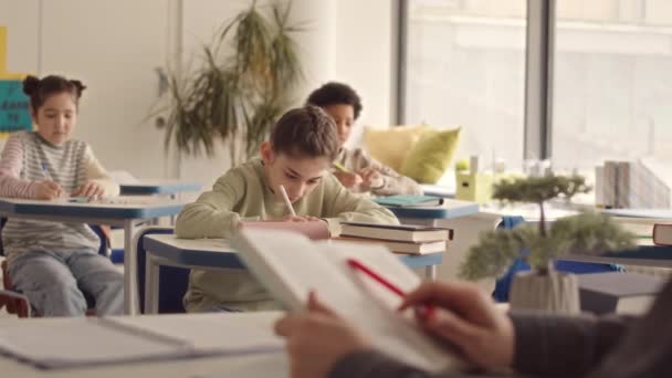 Sınıfta Sıralarının Başında Oturup Öğretmenlerini Dinlerken Alan Çok Irklı Liseli — Stok video