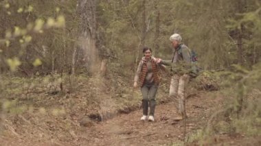 Yetişkin çiftlerin yavaş konuşmaları patikada yürürken, ilkbaharda ormanda yürüyüş yaparken.