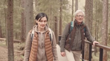 Ormanda ahşap bir köprü boyunca yürürken sırt çantalarında yürüyüş yapan, sohbet eden olgun, beyaz bir çift.