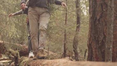 Aktif, olgun çiftlerin gündüz vakti ormanda yürüyüş yaparken yol boyunca yavaşlaması.