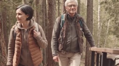 Sırt çantalı turistlerin bahar aylarında ormanda yürüyüş yaparak gezdikleri ve bölgeyi keşfettikleri orta büyüklükte bir yavaşlama.