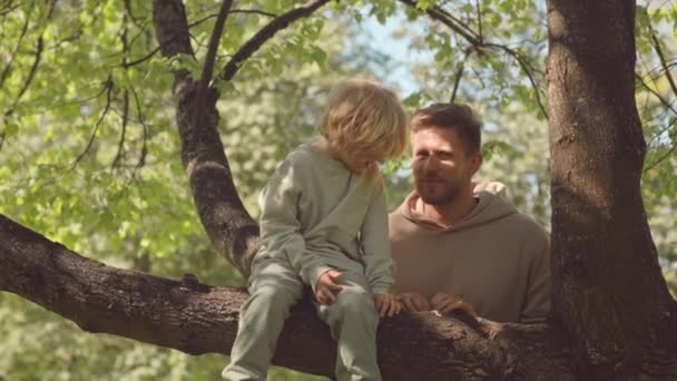 야외에서 카메라 앞에서 아버지와 아들의 느림보 나뭇가지에 아버지 — 비디오