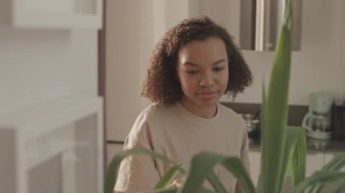 Evde ev işi yaparken yeşil yaprakları spreyleyen gülümseyen melez genç kadının belini yavaş yavaş kaldır.